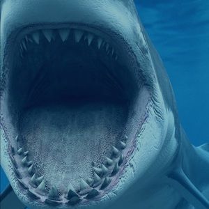 Meet your Posher, Domingo